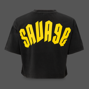 Decibel Short Tee Savage Washed Black image